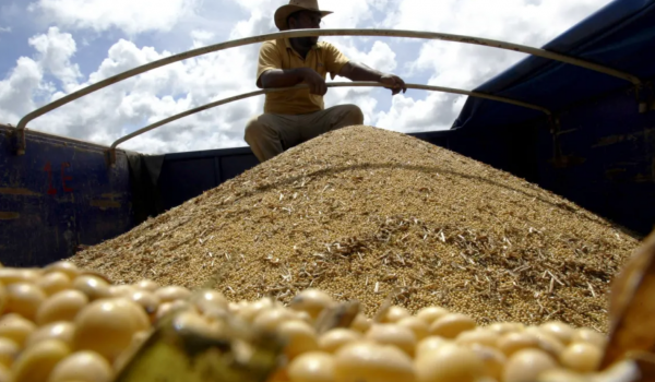 Brasil lidera exportação mundial de sete alimentos e se torna o 