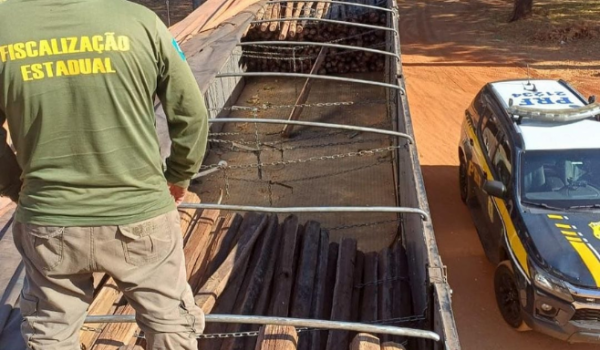 Carga de madeira nobre vinda do Pará é apreendida em Goiás