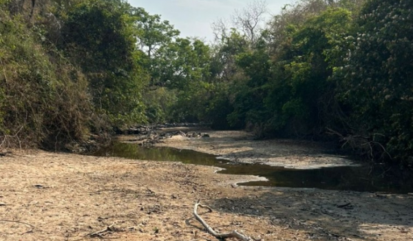 Moradores de cidade de Goiás estão sem água após rio secar completamente