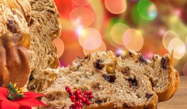 Cordyceps, fungo que inspirou monstros de The Last of Us, leva Anvisa a suspender alimentos no Brasil