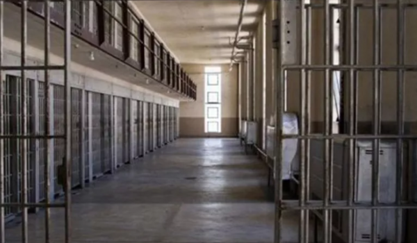 LEI DAS SAIDINHAS NO BRASIL: UM DEBATE NECESSÁRIO