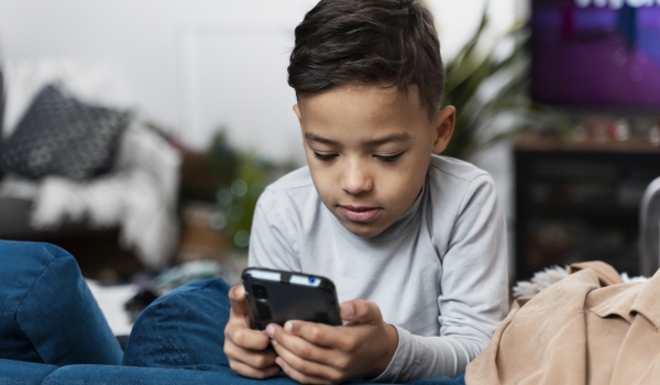 REFLEXOS DA LEI 2628/22: A ADULTIZAÇÃO DE CRIANÇAS E O ECA DIGITAL
