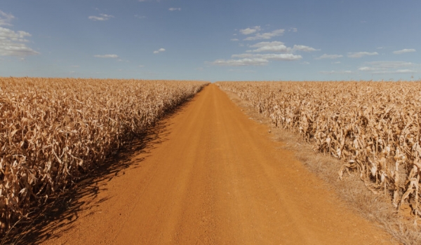 Sistema Faeg/Senar lança programa para contratação de profissionais do agro