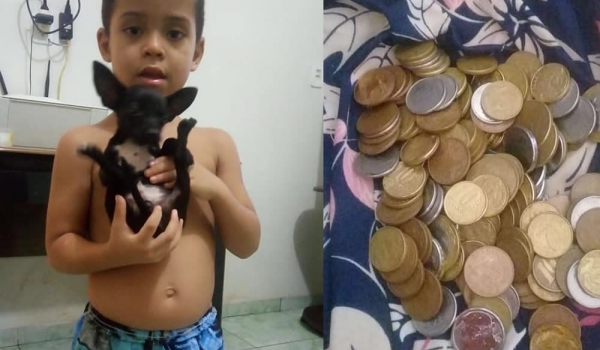 Garoto oferece seu cofrinho de moedas como recompensa a quem achar seu cachorrinho