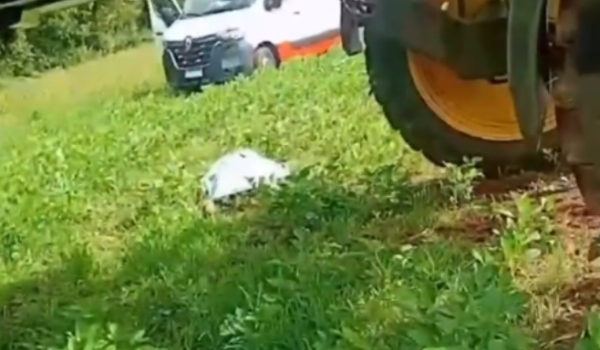 Descarga elétrica mata jovem durante trabalho em fazenda de Paraúna