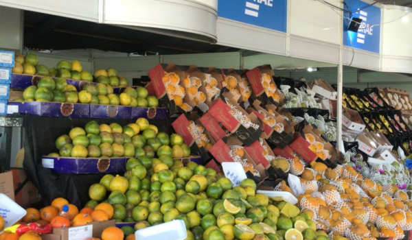 Banca de frutas exóticas chama a atenção na Expo Rio Verde   