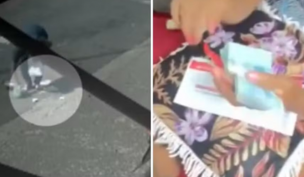 Secretária encontra R$ 1,8 mil perdido por gari e devolve valor em Rio Verde