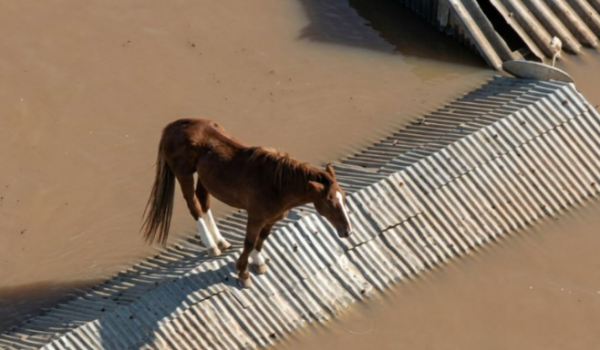 El Niño deve voltar no segundo semestre e acende alerta para chuvas intensas no RS