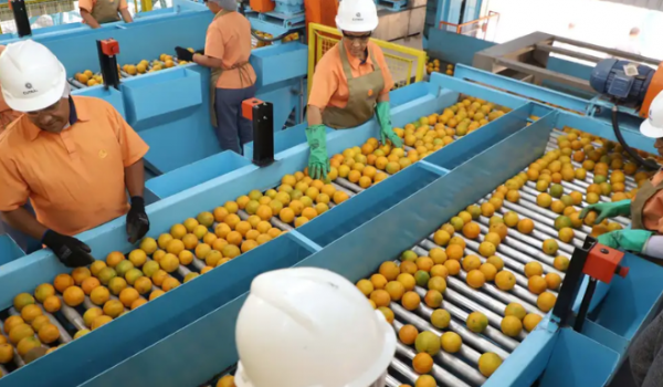 EUA impõem tarifa de 50% a produtos brasileiros, mas deixam quase 700 itens de fora; confira a lista