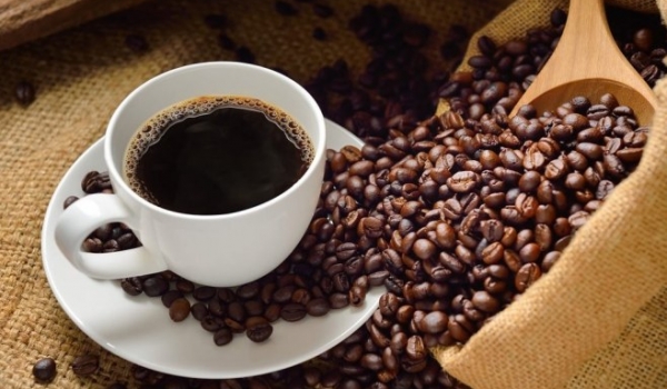 Exportações brasileiras de café registram o segundo maior início de safra desde 1990