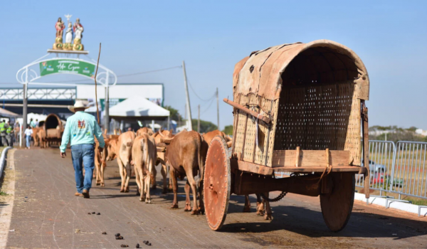 Desfile de carros de boi reúne milhares de fiéis no 7º dia da Romaria do Divino Pai Eterno, em Trindade