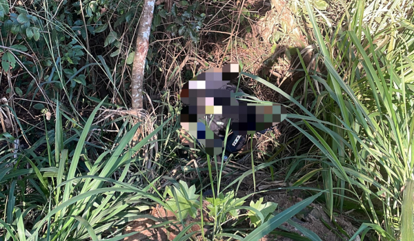 Corpo é encontrado em área de mata no Parque das Esmeraldas; polícia investiga homicídio