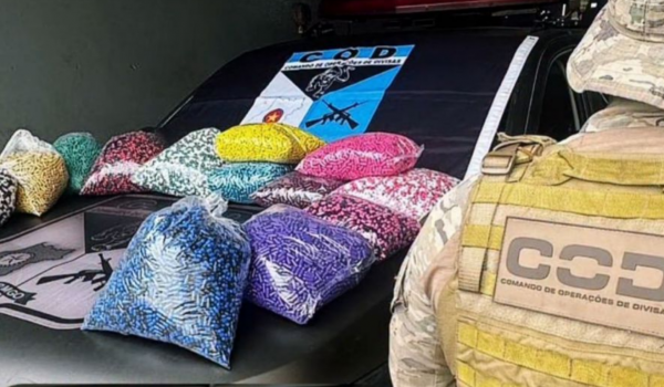 COD apreende mais de 56 mil comprimidos ilegais em ônibus na região de Rio Verde