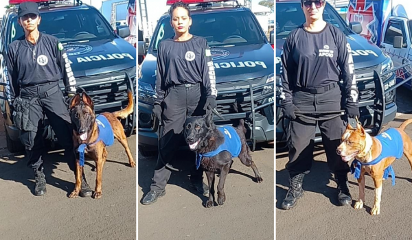 Cães farejadores fazem parte do time de segurança da Expo Rio Verde