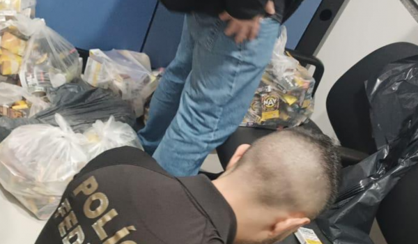 GCM e Vigilância Sanitária apreendem grande quantidade de produtos contrabandeados