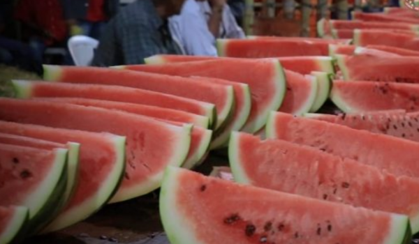 Festa da Melancia promete agitar Lagoa do Bauzinho; veja a programação completa