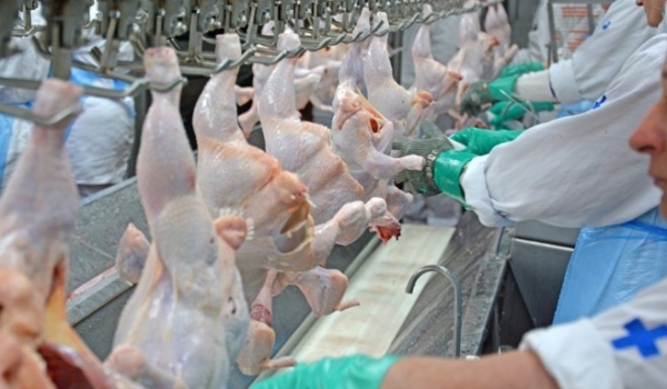 Fim da escala 6×1 pode reduzir oferta de carnes e elevar preços ao consumidor, diz ABPA