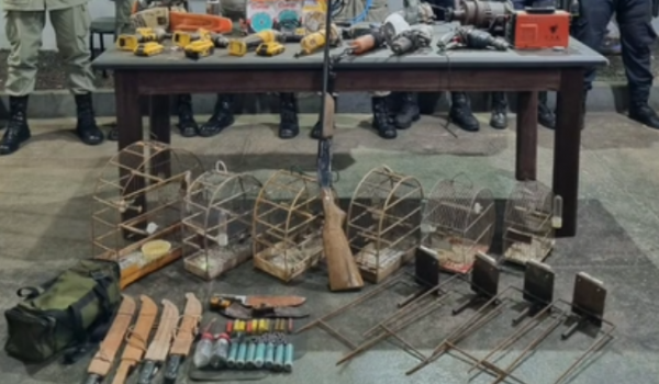 GCM e PM apreendem arma, ferramentas e animais silvestres e prende homem na Vila Serpró, em Rio Verde