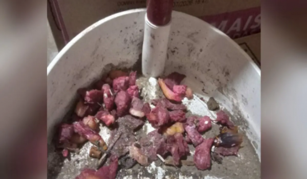 Gerente é preso após envenenamento que matou gatos em supermercado de Mineiros