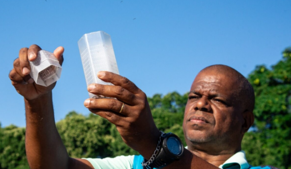Goiás aposta em soltura de mosquitos Aedes aegypti com bactéria natural para combater a dengue