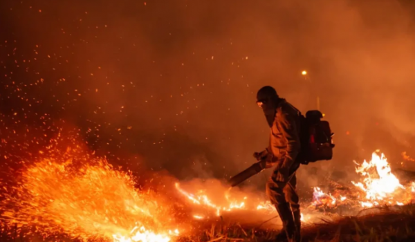 Goiás decreta emergência ambiental e proíbe uso do fogo em áreas de vegetação até outubro