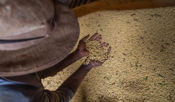 Goiás fecha 2025 com superávit de mais de US$ 8 bilhões na balança comercial