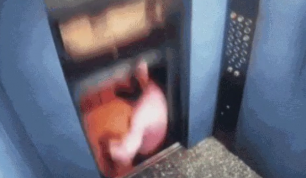 Homem escapa por pouco de ser esmagado ao sair de elevador na Índia