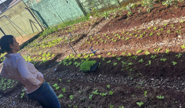 Horta na Escola leva sustentabilidade e alimentação saudável a alunos da Maria Brígida