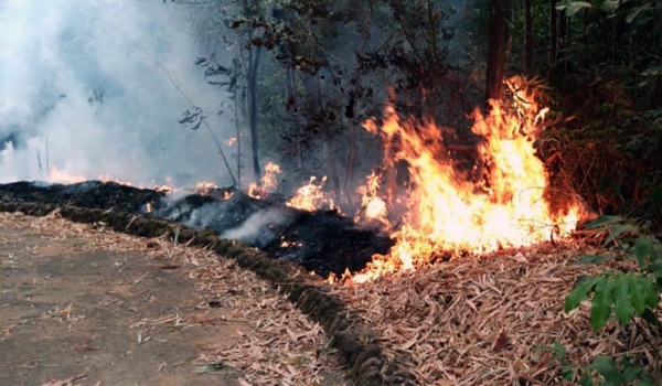 Polícia Civil indicia suposto causador de incêndio em APP de Rio Verde