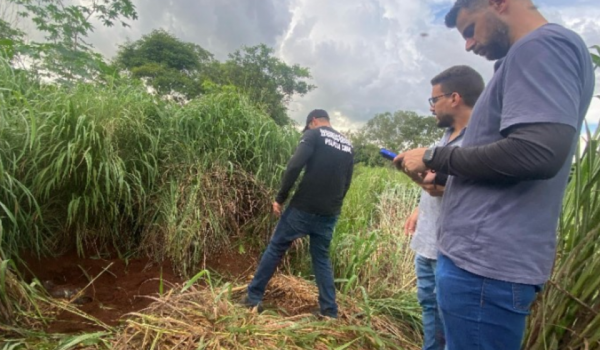 Cemitério do crime: polícia encontra mais um corpo em área de mata em Goiânia