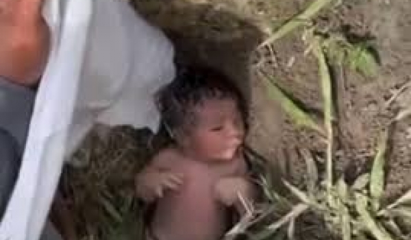 Recém-nascida é encontrada abandonada em área de pasto após choro chamar atenção de moradores