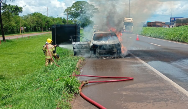 Incêndio destrói picape na BR-060 próximo à indústria em Rio Verde