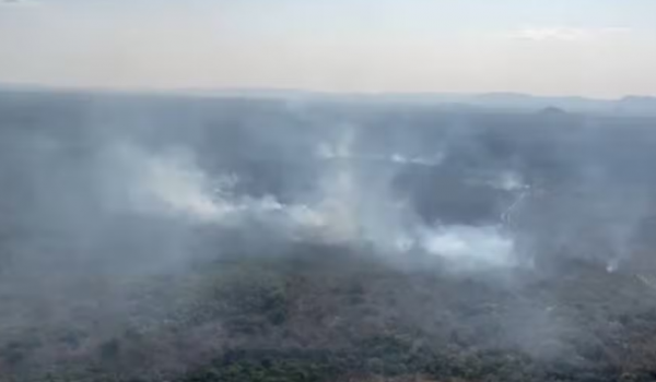 Incêndio volta a atingir região de mata na Chapada dos Veadeiros, em Alto Paraíso