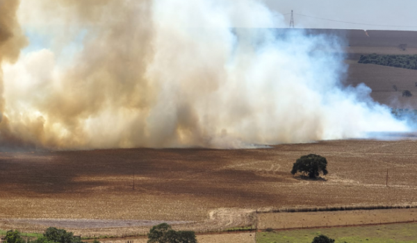 Incêndios perto da rede elétrica exigem atenção; saiba o que fazer para evitar acidentes