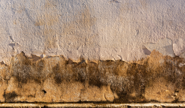 Briga entre vizinhos por causa de infiltração em residência acaba na delegacia, em Rio Verde