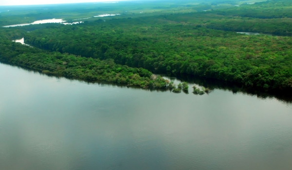 INPE: Dados parciais apontam queda no desmatamento da Amazônia em janeiro