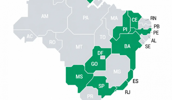 Levantamento aponta Goiás entre estados com chance de decisão no primeiro turno