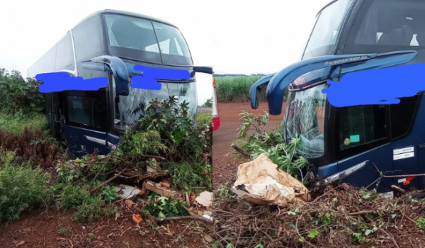 Motorista passa mal e ônibus acaba saindo da pista na BR-060 entre Rio Verde e Goiânia