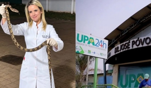 Mulher é picada por jararacuçu em Rio Verde, captura a serpente e a leva ao hospital