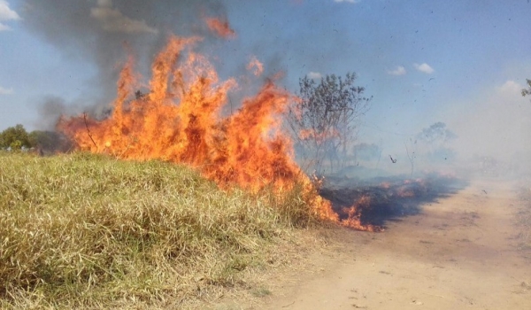 Oito cidades goianas estão em situação de emergência por causa de incêndio em vegetação
