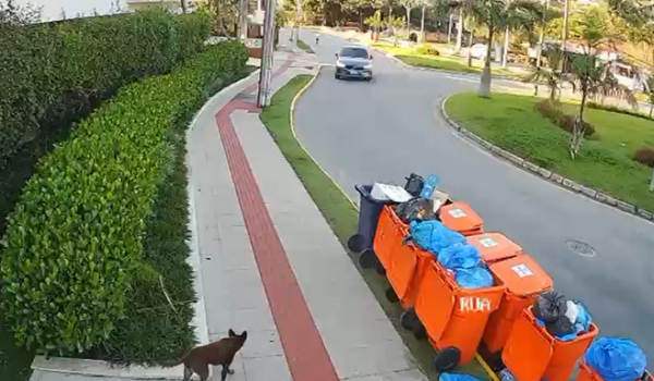 Defesa divulga vídeo e contesta versão da polícia no Caso Orelha, em Florianópolis