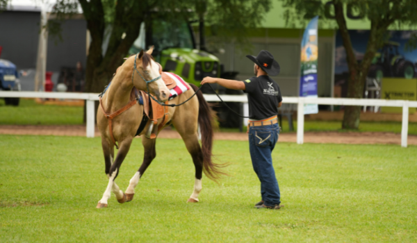 Pecuária na Tecnoshow 2026 une inovação, prática no campo e tradição rural