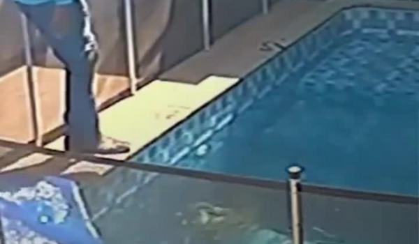 Piscineiro resgata cachorro cego que se afogava há 40 minutos em Goiânia