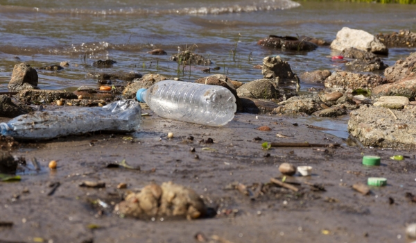 Como a falta de saneamento afeta o meio ambiente?