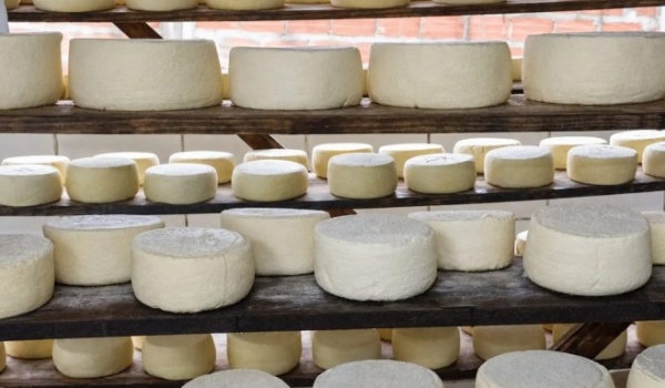 Queijo cabacinha: tradição de origem italiana com 80 anos de história em cinco cidades de Goiás