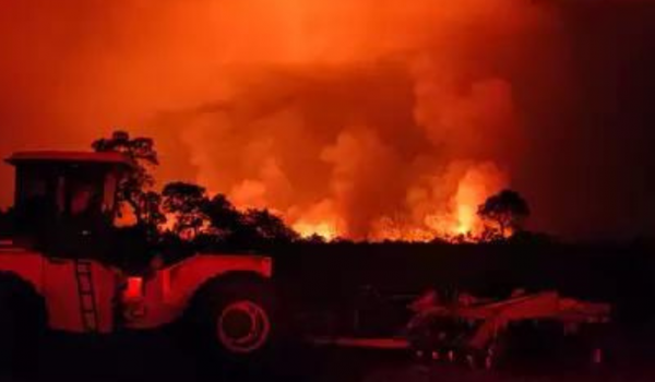 Rastro do fogo: últimos incêndios começaram em 14 propriedades no Pantanal, aponta MP