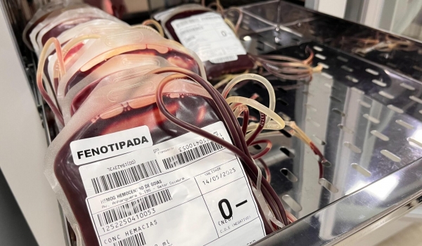 Sangue O- em falta: Goiás convoca doadores para reforçar estoques