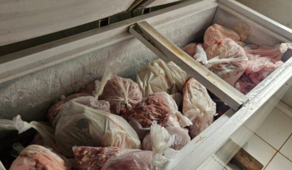 Abatedouro clandestino é fechado em Goiás com mais de uma tonelada de carne imprópria