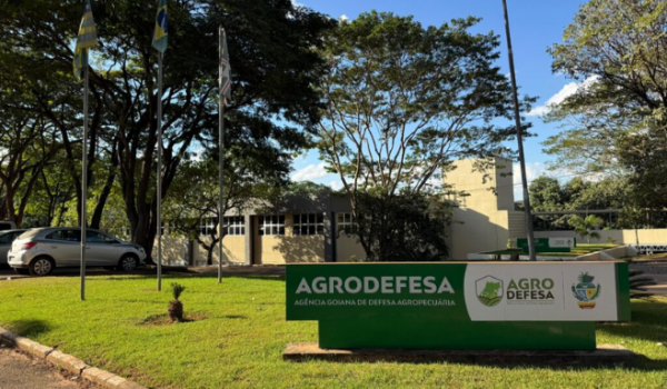 Mais de 100 galinhas morrem com sintomas de gripe aviária em Santo Antônio da Barra