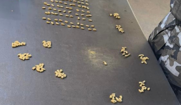 Drogas escondidas em encomenda são descobertas por cão da PM 